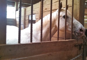 IMG_20150607_165010_429